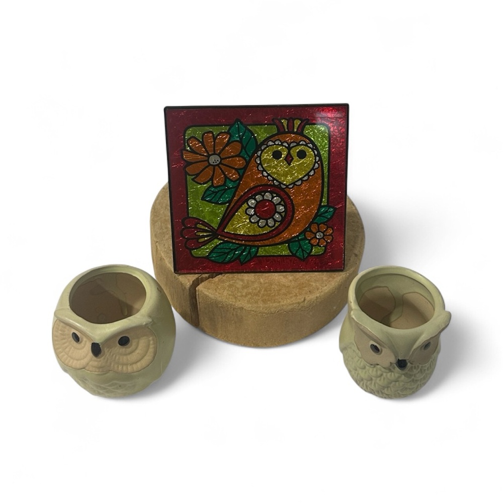 Colorful Owl Art Glass Panel